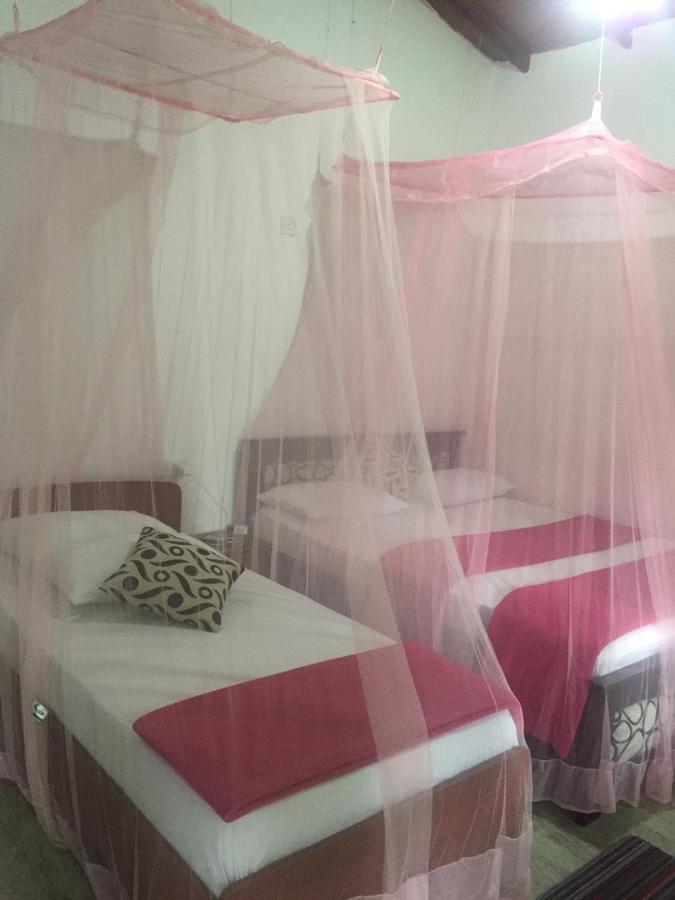 Silent Nest Bed & Breakfast Ella Bagian luar foto