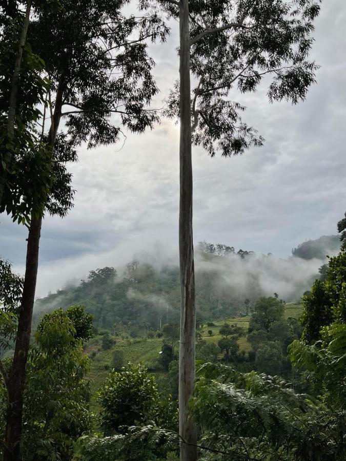 Silent Nest Bed & Breakfast Ella Bagian luar foto