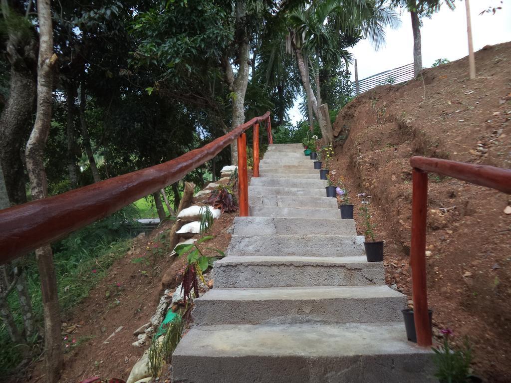 Silent Nest Bed & Breakfast Ella Bagian luar foto