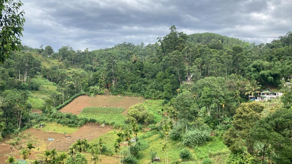 Silent Nest Bed & Breakfast Ella Bagian luar foto