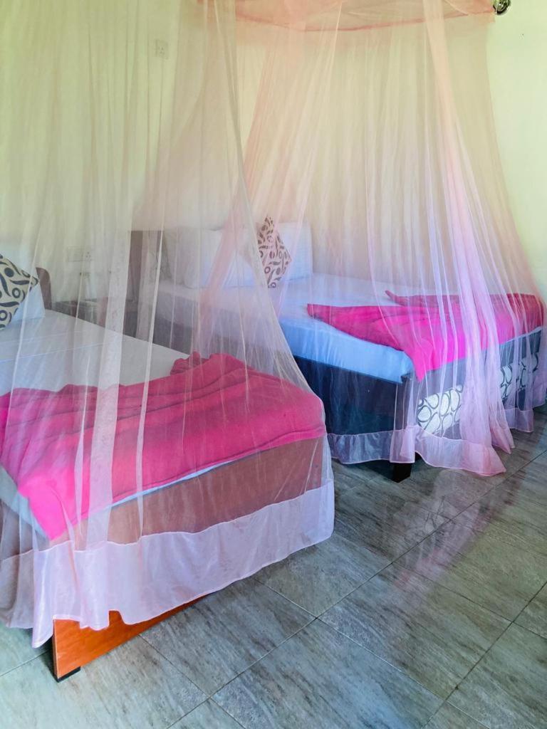 Silent Nest Bed & Breakfast Ella Bagian luar foto