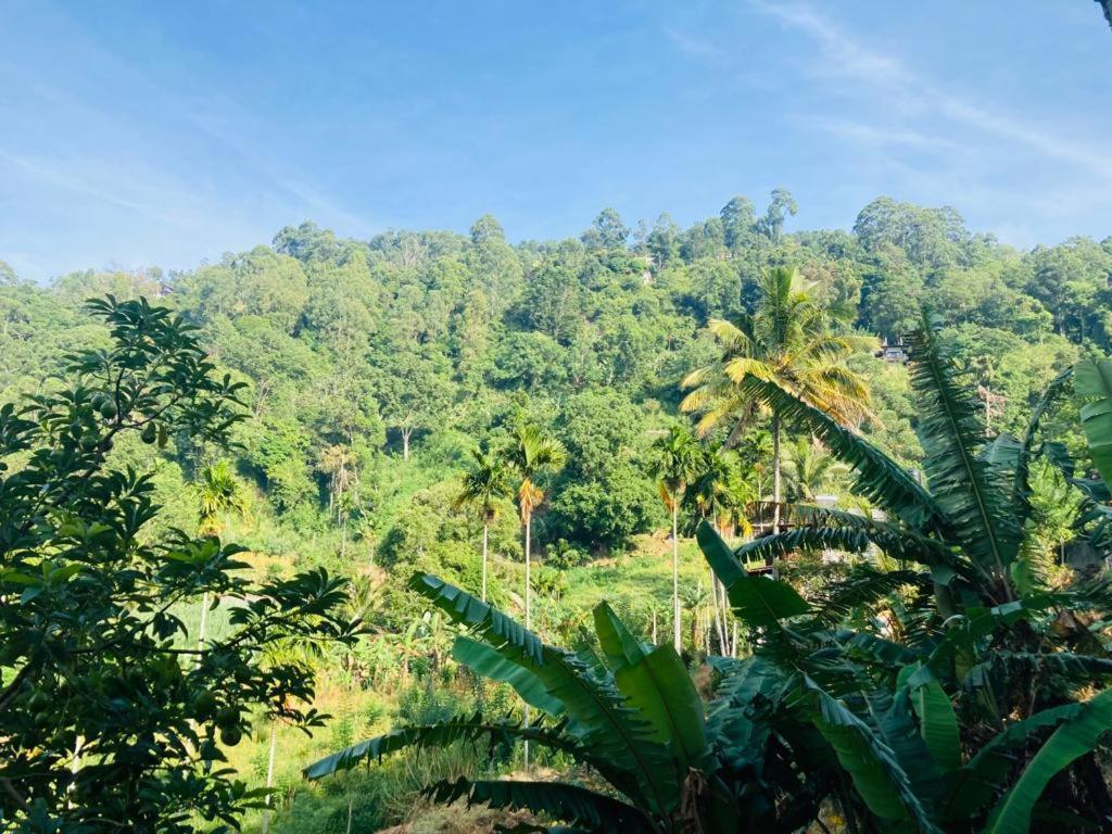 Silent Nest Bed & Breakfast Ella Bagian luar foto