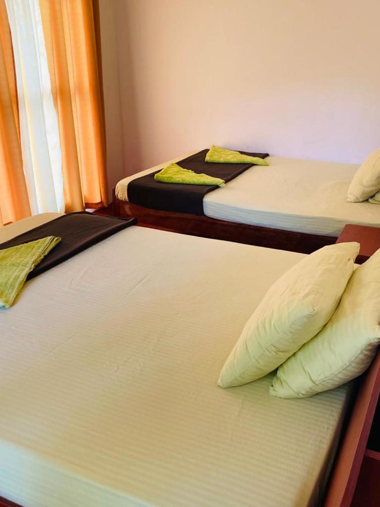 Silent Nest Bed & Breakfast Ella Bagian luar foto