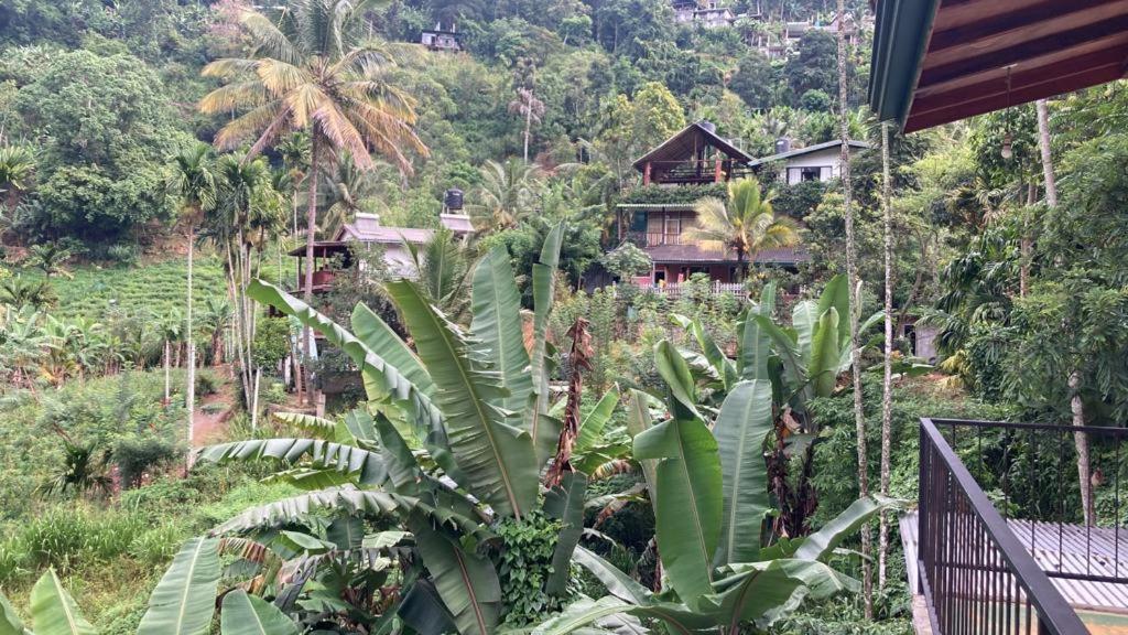 Silent Nest Bed & Breakfast Ella Bagian luar foto