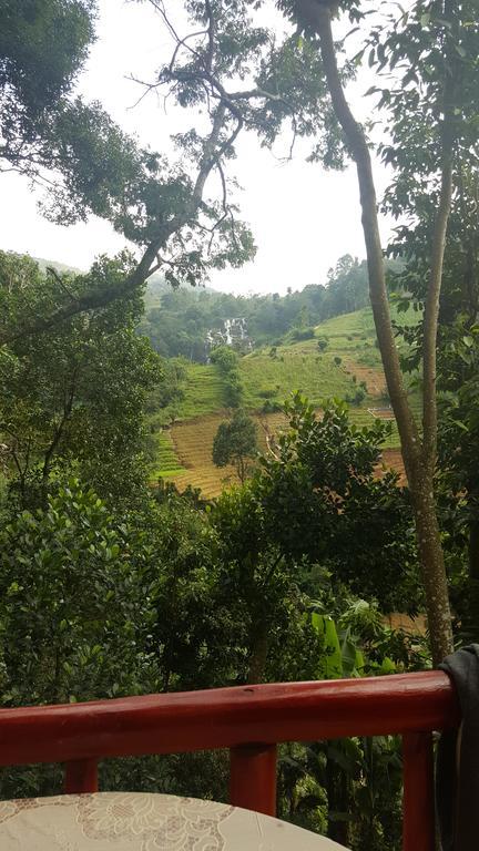 Silent Nest Bed & Breakfast Ella Bagian luar foto
